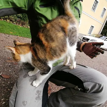 Staudachhof Apartmán Althofen (Carinthia)