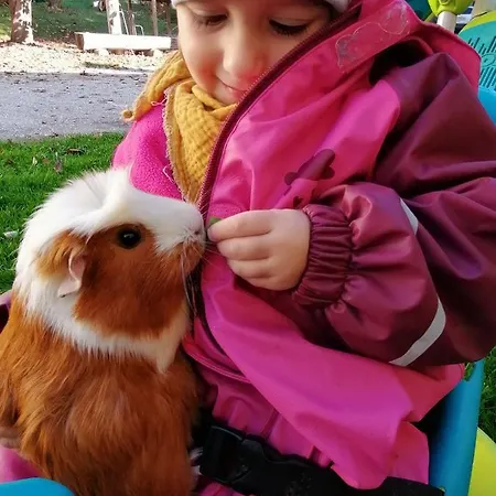 Apartmán Staudachhof Althofen (Carinthia)
