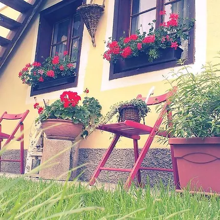 아파트 Staudachhof *